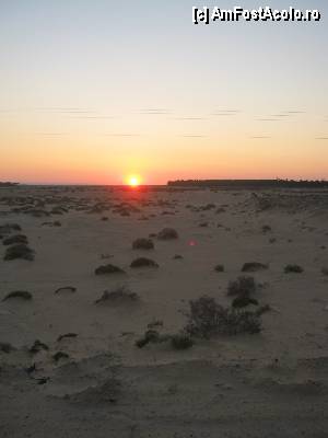 [P40] Rasaritul soarelui in desert » foto by feliciarosca
 - 
<span class="allrVoted glyphicon glyphicon-heart hidden" id="av361067"></span>
<a class="m-l-10 hidden" id="sv361067" onclick="voting_Foto_DelVot(,361067,658)" role="button">șterge vot <span class="glyphicon glyphicon-remove"></span></a>
<a id="v9361067" class=" c-red"  onclick="voting_Foto_SetVot(361067)" role="button"><span class="glyphicon glyphicon-heart-empty"></span> <b>LIKE</b> = Votează poza</a> <img class="hidden"  id="f361067W9" src="/imagini/loader.gif" border="0" /><span class="AjErrMes hidden" id="e361067ErM"></span>