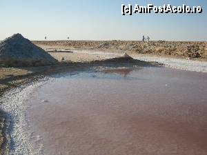 [P43] Lacul sarat » foto by feliciarosca
 - 
<span class="allrVoted glyphicon glyphicon-heart hidden" id="av361070"></span>
<a class="m-l-10 hidden" id="sv361070" onclick="voting_Foto_DelVot(,361070,658)" role="button">șterge vot <span class="glyphicon glyphicon-remove"></span></a>
<a id="v9361070" class=" c-red"  onclick="voting_Foto_SetVot(361070)" role="button"><span class="glyphicon glyphicon-heart-empty"></span> <b>LIKE</b> = Votează poza</a> <img class="hidden"  id="f361070W9" src="/imagini/loader.gif" border="0" /><span class="AjErrMes hidden" id="e361070ErM"></span>