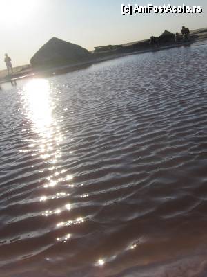 [P45]  -- <small>// FĂRĂ DESCRIERE</small> » foto by feliciarosca
 - 
<span class="allrVoted glyphicon glyphicon-heart hidden" id="av361072"></span>
<a class="m-l-10 hidden" id="sv361072" onclick="voting_Foto_DelVot(,361072,658)" role="button">șterge vot <span class="glyphicon glyphicon-remove"></span></a>
<a id="v9361072" class=" c-red"  onclick="voting_Foto_SetVot(361072)" role="button"><span class="glyphicon glyphicon-heart-empty"></span> <b>LIKE</b> = Votează poza</a> <img class="hidden"  id="f361072W9" src="/imagini/loader.gif" border="0" /><span class="AjErrMes hidden" id="e361072ErM"></span>