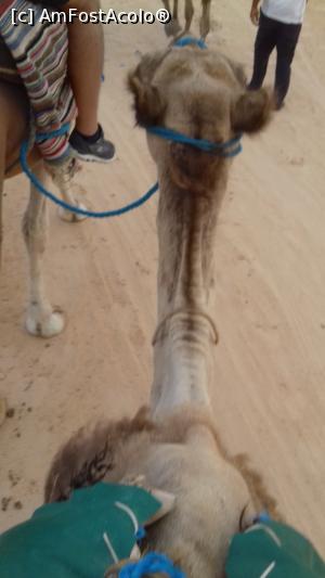 [P14] Tovarasa mea de calatorie... sau tovarasul, habar n-am!  » foto by fan bulgaria
 - 
<span class="allrVoted glyphicon glyphicon-heart hidden" id="av1006543"></span>
<a class="m-l-10 hidden" id="sv1006543" onclick="voting_Foto_DelVot(,1006543,658)" role="button">șterge vot <span class="glyphicon glyphicon-remove"></span></a>
<a id="v91006543" class=" c-red"  onclick="voting_Foto_SetVot(1006543)" role="button"><span class="glyphicon glyphicon-heart-empty"></span> <b>LIKE</b> = Votează poza</a> <img class="hidden"  id="f1006543W9" src="/imagini/loader.gif" border="0" /><span class="AjErrMes hidden" id="e1006543ErM"></span>