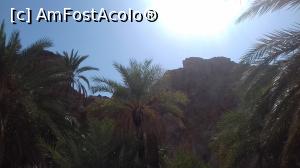 [P24]  -- <small>// FĂRĂ DESCRIERE</small> » foto by fan bulgaria
 - 
<span class="allrVoted glyphicon glyphicon-heart hidden" id="av1006558"></span>
<a class="m-l-10 hidden" id="sv1006558" onclick="voting_Foto_DelVot(,1006558,658)" role="button">șterge vot <span class="glyphicon glyphicon-remove"></span></a>
<a id="v91006558" class=" c-red"  onclick="voting_Foto_SetVot(1006558)" role="button"><span class="glyphicon glyphicon-heart-empty"></span> <b>LIKE</b> = Votează poza</a> <img class="hidden"  id="f1006558W9" src="/imagini/loader.gif" border="0" /><span class="AjErrMes hidden" id="e1006558ErM"></span>