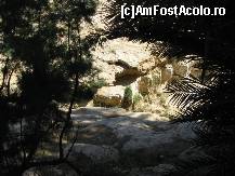 [P27] oaza Tamerza » foto by cristi_an3000
 - 
<span class="allrVoted glyphicon glyphicon-heart hidden" id="av77224"></span>
<a class="m-l-10 hidden" id="sv77224" onclick="voting_Foto_DelVot(,77224,658)" role="button">șterge vot <span class="glyphicon glyphicon-remove"></span></a>
<a id="v977224" class=" c-red"  onclick="voting_Foto_SetVot(77224)" role="button"><span class="glyphicon glyphicon-heart-empty"></span> <b>LIKE</b> = Votează poza</a> <img class="hidden"  id="f77224W9" src="/imagini/loader.gif" border="0" /><span class="AjErrMes hidden" id="e77224ErM"></span>