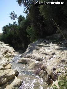 [P28] oaza Tamerza » foto by cristi_an3000
 - 
<span class="allrVoted glyphicon glyphicon-heart hidden" id="av77227"></span>
<a class="m-l-10 hidden" id="sv77227" onclick="voting_Foto_DelVot(,77227,658)" role="button">șterge vot <span class="glyphicon glyphicon-remove"></span></a>
<a id="v977227" class=" c-red"  onclick="voting_Foto_SetVot(77227)" role="button"><span class="glyphicon glyphicon-heart-empty"></span> <b>LIKE</b> = Votează poza</a> <img class="hidden"  id="f77227W9" src="/imagini/loader.gif" border="0" /><span class="AjErrMes hidden" id="e77227ErM"></span>