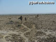 [P34] in drum spre Gatul Camilei » foto by cristi_an3000
 - 
<span class="allrVoted glyphicon glyphicon-heart hidden" id="av77238"></span>
<a class="m-l-10 hidden" id="sv77238" onclick="voting_Foto_DelVot(,77238,658)" role="button">șterge vot <span class="glyphicon glyphicon-remove"></span></a>
<a id="v977238" class=" c-red"  onclick="voting_Foto_SetVot(77238)" role="button"><span class="glyphicon glyphicon-heart-empty"></span> <b>LIKE</b> = Votează poza</a> <img class="hidden"  id="f77238W9" src="/imagini/loader.gif" border="0" /><span class="AjErrMes hidden" id="e77238ErM"></span>