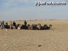 [P60] Douze - asteptam plimbarea cu dromaderii » foto by cristi_an3000
 - 
<span class="allrVoted glyphicon glyphicon-heart hidden" id="av77276"></span>
<a class="m-l-10 hidden" id="sv77276" onclick="voting_Foto_DelVot(,77276,658)" role="button">șterge vot <span class="glyphicon glyphicon-remove"></span></a>
<a id="v977276" class=" c-red"  onclick="voting_Foto_SetVot(77276)" role="button"><span class="glyphicon glyphicon-heart-empty"></span> <b>LIKE</b> = Votează poza</a> <img class="hidden"  id="f77276W9" src="/imagini/loader.gif" border="0" /><span class="AjErrMes hidden" id="e77276ErM"></span>