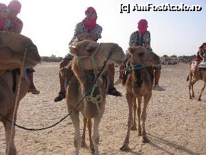 [P11] animal de companie » foto by csaszar78
 - 
<span class="allrVoted glyphicon glyphicon-heart hidden" id="av357895"></span>
<a class="m-l-10 hidden" id="sv357895" onclick="voting_Foto_DelVot(,357895,658)" role="button">șterge vot <span class="glyphicon glyphicon-remove"></span></a>
<a id="v9357895" class=" c-red"  onclick="voting_Foto_SetVot(357895)" role="button"><span class="glyphicon glyphicon-heart-empty"></span> <b>LIKE</b> = Votează poza</a> <img class="hidden"  id="f357895W9" src="/imagini/loader.gif" border="0" /><span class="AjErrMes hidden" id="e357895ErM"></span>