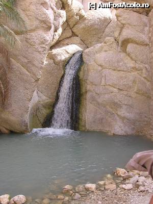 [P25]  -- <small>// FĂRĂ DESCRIERE</small> » foto by csaszar78
 - 
<span class="allrVoted glyphicon glyphicon-heart hidden" id="av357909"></span>
<a class="m-l-10 hidden" id="sv357909" onclick="voting_Foto_DelVot(,357909,658)" role="button">șterge vot <span class="glyphicon glyphicon-remove"></span></a>
<a id="v9357909" class=" c-red"  onclick="voting_Foto_SetVot(357909)" role="button"><span class="glyphicon glyphicon-heart-empty"></span> <b>LIKE</b> = Votează poza</a> <img class="hidden"  id="f357909W9" src="/imagini/loader.gif" border="0" /><span class="AjErrMes hidden" id="e357909ErM"></span>