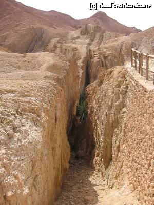 [P26]  -- <small>// FĂRĂ DESCRIERE</small> » foto by csaszar78
 - 
<span class="allrVoted glyphicon glyphicon-heart hidden" id="av357910"></span>
<a class="m-l-10 hidden" id="sv357910" onclick="voting_Foto_DelVot(,357910,658)" role="button">șterge vot <span class="glyphicon glyphicon-remove"></span></a>
<a id="v9357910" class=" c-red"  onclick="voting_Foto_SetVot(357910)" role="button"><span class="glyphicon glyphicon-heart-empty"></span> <b>LIKE</b> = Votează poza</a> <img class="hidden"  id="f357910W9" src="/imagini/loader.gif" border="0" /><span class="AjErrMes hidden" id="e357910ErM"></span>