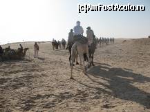 [P26]  -- <small>// FĂRĂ DESCRIERE</small> » foto by viviv
 - 
<span class="allrVoted glyphicon glyphicon-heart hidden" id="av195253"></span>
<a class="m-l-10 hidden" id="sv195253" onclick="voting_Foto_DelVot(,195253,658)" role="button">șterge vot <span class="glyphicon glyphicon-remove"></span></a>
<a id="v9195253" class=" c-red"  onclick="voting_Foto_SetVot(195253)" role="button"><span class="glyphicon glyphicon-heart-empty"></span> <b>LIKE</b> = Votează poza</a> <img class="hidden"  id="f195253W9" src="/imagini/loader.gif" border="0" /><span class="AjErrMes hidden" id="e195253ErM"></span>