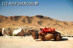 [P03] MATMATA » foto by cami1212
 - 
<span class="allrVoted glyphicon glyphicon-heart hidden" id="av1020311"></span>
<a class="m-l-10 hidden" id="sv1020311" onclick="voting_Foto_DelVot(,1020311,658)" role="button">șterge vot <span class="glyphicon glyphicon-remove"></span></a>
<a id="v91020311" class=" c-red"  onclick="voting_Foto_SetVot(1020311)" role="button"><span class="glyphicon glyphicon-heart-empty"></span> <b>LIKE</b> = Votează poza</a> <img class="hidden"  id="f1020311W9" src="/imagini/loader.gif" border="0" /><span class="AjErrMes hidden" id="e1020311ErM"></span>