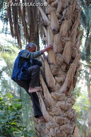 [P07] LA CULES DE CURMALE » foto by cami1212
 - 
<span class="allrVoted glyphicon glyphicon-heart hidden" id="av1020315"></span>
<a class="m-l-10 hidden" id="sv1020315" onclick="voting_Foto_DelVot(,1020315,658)" role="button">șterge vot <span class="glyphicon glyphicon-remove"></span></a>
<a id="v91020315" class=" c-red"  onclick="voting_Foto_SetVot(1020315)" role="button"><span class="glyphicon glyphicon-heart-empty"></span> <b>LIKE</b> = Votează poza</a> <img class="hidden"  id="f1020315W9" src="/imagini/loader.gif" border="0" /><span class="AjErrMes hidden" id="e1020315ErM"></span>