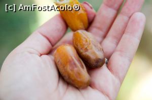 [P09] CURMALE PROASPETE » foto by cami1212
 - 
<span class="allrVoted glyphicon glyphicon-heart hidden" id="av1020317"></span>
<a class="m-l-10 hidden" id="sv1020317" onclick="voting_Foto_DelVot(,1020317,658)" role="button">șterge vot <span class="glyphicon glyphicon-remove"></span></a>
<a id="v91020317" class=" c-red"  onclick="voting_Foto_SetVot(1020317)" role="button"><span class="glyphicon glyphicon-heart-empty"></span> <b>LIKE</b> = Votează poza</a> <img class="hidden"  id="f1020317W9" src="/imagini/loader.gif" border="0" /><span class="AjErrMes hidden" id="e1020317ErM"></span>