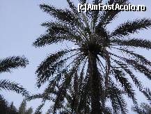 [P02]  -- <small>// FĂRĂ DESCRIERE</small> » foto by Darklocks
 - 
<span class="allrVoted glyphicon glyphicon-heart hidden" id="av151262"></span>
<a class="m-l-10 hidden" id="sv151262" onclick="voting_Foto_DelVot(,151262,658)" role="button">șterge vot <span class="glyphicon glyphicon-remove"></span></a>
<a id="v9151262" class=" c-red"  onclick="voting_Foto_SetVot(151262)" role="button"><span class="glyphicon glyphicon-heart-empty"></span> <b>LIKE</b> = Votează poza</a> <img class="hidden"  id="f151262W9" src="/imagini/loader.gif" border="0" /><span class="AjErrMes hidden" id="e151262ErM"></span>