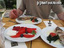 [P08] Pastrav pe grill cu spanac +salata de rosii si ardei copti Restaurant Albatros » foto by ldogaru
 - 
<span class="allrVoted glyphicon glyphicon-heart hidden" id="av207418"></span>
<a class="m-l-10 hidden" id="sv207418" onclick="voting_Foto_DelVot(,207418,679)" role="button">șterge vot <span class="glyphicon glyphicon-remove"></span></a>
<a id="v9207418" class=" c-red"  onclick="voting_Foto_SetVot(207418)" role="button"><span class="glyphicon glyphicon-heart-empty"></span> <b>LIKE</b> = Votează poza</a> <img class="hidden"  id="f207418W9" src="/imagini/loader.gif" border="0" /><span class="AjErrMes hidden" id="e207418ErM"></span>