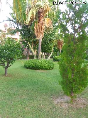 [P03] Gradina din resort » foto by alicera2001
 - 
<span class="allrVoted glyphicon glyphicon-heart hidden" id="av551978"></span>
<a class="m-l-10 hidden" id="sv551978" onclick="voting_Foto_DelVot(,551978,68)" role="button">șterge vot <span class="glyphicon glyphicon-remove"></span></a>
<a id="v9551978" class=" c-red"  onclick="voting_Foto_SetVot(551978)" role="button"><span class="glyphicon glyphicon-heart-empty"></span> <b>LIKE</b> = Votează poza</a> <img class="hidden"  id="f551978W9" src="/imagini/loader.gif" border="0" /><span class="AjErrMes hidden" id="e551978ErM"></span>
