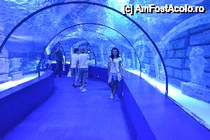 [P14] aquarium Antalya » foto by nela_loly*
 - 
<span class="allrVoted glyphicon glyphicon-heart hidden" id="av437266"></span>
<a class="m-l-10 hidden" id="sv437266" onclick="voting_Foto_DelVot(,437266,68)" role="button">șterge vot <span class="glyphicon glyphicon-remove"></span></a>
<a id="v9437266" class=" c-red"  onclick="voting_Foto_SetVot(437266)" role="button"><span class="glyphicon glyphicon-heart-empty"></span> <b>LIKE</b> = Votează poza</a> <img class="hidden"  id="f437266W9" src="/imagini/loader.gif" border="0" /><span class="AjErrMes hidden" id="e437266ErM"></span>