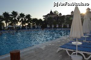 [P08] relax pool seara » foto by nela_loly*
 - 
<span class="allrVoted glyphicon glyphicon-heart hidden" id="av437255"></span>
<a class="m-l-10 hidden" id="sv437255" onclick="voting_Foto_DelVot(,437255,68)" role="button">șterge vot <span class="glyphicon glyphicon-remove"></span></a>
<a id="v9437255" class=" c-red"  onclick="voting_Foto_SetVot(437255)" role="button"><span class="glyphicon glyphicon-heart-empty"></span> <b>LIKE</b> = Votează poza</a> <img class="hidden"  id="f437255W9" src="/imagini/loader.gif" border="0" /><span class="AjErrMes hidden" id="e437255ErM"></span>
