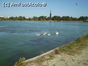 [P15] Lacul Tăbăcărie » foto by Mihai18
 - 
<span class="allrVoted glyphicon glyphicon-heart hidden" id="av1014413"></span>
<a class="m-l-10 hidden" id="sv1014413" onclick="voting_Foto_DelVot(,1014413,766)" role="button">șterge vot <span class="glyphicon glyphicon-remove"></span></a>
<a id="v91014413" class=" c-red"  onclick="voting_Foto_SetVot(1014413)" role="button"><span class="glyphicon glyphicon-heart-empty"></span> <b>LIKE</b> = Votează poza</a> <img class="hidden"  id="f1014413W9" src="/imagini/loader.gif" border="0" /><span class="AjErrMes hidden" id="e1014413ErM"></span>