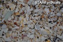 [P04] Asa arata 'nisipul' de pe plaja. Un ciob de sticla, venita sa-si cunoasca stramosii (daca ar fi fost nisip). » foto by MCM
 - 
<span class="allrVoted glyphicon glyphicon-heart hidden" id="av333882"></span>
<a class="m-l-10 hidden" id="sv333882" onclick="voting_Foto_DelVot(,333882,775)" role="button">șterge vot <span class="glyphicon glyphicon-remove"></span></a>
<a id="v9333882" class=" c-red"  onclick="voting_Foto_SetVot(333882)" role="button"><span class="glyphicon glyphicon-heart-empty"></span> <b>LIKE</b> = Votează poza</a> <img class="hidden"  id="f333882W9" src="/imagini/loader.gif" border="0" /><span class="AjErrMes hidden" id="e333882ErM"></span>