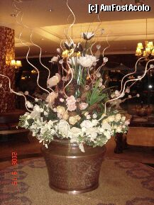 [P2x] ornament receptie.veronica » foto by samyrutza
 - 
<span class="allrVoted glyphicon glyphicon-heart hidden" id="av7176"></span>
<a class="m-l-10 hidden" id="sv7176" onclick="voting_Foto_DelVot(,7176,8)" role="button">șterge vot <span class="glyphicon glyphicon-remove"></span></a>
<a id="v97176" class=" c-red"  onclick="voting_Foto_SetVot(7176)" role="button"><span class="glyphicon glyphicon-heart-empty"></span> <b>LIKE</b> = Votează poza</a> <img class="hidden"  id="f7176W9" src="/imagini/loader.gif" border="0" /><span class="AjErrMes hidden" id="e7176ErM"></span>