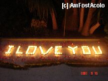 [P3x] ziua dragostei.veronica » foto by samyrutza
 - 
<span class="allrVoted glyphicon glyphicon-heart hidden" id="av7177"></span>
<a class="m-l-10 hidden" id="sv7177" onclick="voting_Foto_DelVot(,7177,8)" role="button">șterge vot <span class="glyphicon glyphicon-remove"></span></a>
<a id="v97177" class=" c-red"  onclick="voting_Foto_SetVot(7177)" role="button"><span class="glyphicon glyphicon-heart-empty"></span> <b>LIKE</b> = Votează poza</a> <img class="hidden"  id="f7177W9" src="/imagini/loader.gif" border="0" /><span class="AjErrMes hidden" id="e7177ErM"></span>