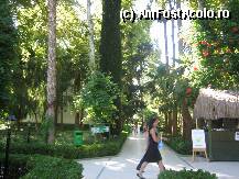 [P03] gradina » foto by azur_melia
 - 
<span class="allrVoted glyphicon glyphicon-heart hidden" id="av9232"></span>
<a class="m-l-10 hidden" id="sv9232" onclick="voting_Foto_DelVot(,9232,8)" role="button">șterge vot <span class="glyphicon glyphicon-remove"></span></a>
<a id="v99232" class=" c-red"  onclick="voting_Foto_SetVot(9232)" role="button"><span class="glyphicon glyphicon-heart-empty"></span> <b>LIKE</b> = Votează poza</a> <img class="hidden"  id="f9232W9" src="/imagini/loader.gif" border="0" /><span class="AjErrMes hidden" id="e9232ErM"></span>