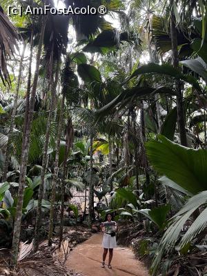 [P12] Valee de Mai » foto by HelloAlex
 - 
<span class="allrVoted glyphicon glyphicon-heart hidden" id="av1397636"></span>
<a class="m-l-10 hidden" id="sv1397636" onclick="voting_Foto_DelVot(,1397636,847)" role="button">șterge vot <span class="glyphicon glyphicon-remove"></span></a>
<a id="v91397636" class=" c-red"  onclick="voting_Foto_SetVot(1397636)" role="button"><span class="glyphicon glyphicon-heart-empty"></span> <b>LIKE</b> = Votează poza</a> <img class="hidden"  id="f1397636W9" src="/imagini/loader.gif" border="0" /><span class="AjErrMes hidden" id="e1397636ErM"></span>
