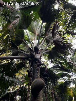 [P17] Valee de Mai » foto by HelloAlex
 - 
<span class="allrVoted glyphicon glyphicon-heart hidden" id="av1397641"></span>
<a class="m-l-10 hidden" id="sv1397641" onclick="voting_Foto_DelVot(,1397641,847)" role="button">șterge vot <span class="glyphicon glyphicon-remove"></span></a>
<a id="v91397641" class=" c-red"  onclick="voting_Foto_SetVot(1397641)" role="button"><span class="glyphicon glyphicon-heart-empty"></span> <b>LIKE</b> = Votează poza</a> <img class="hidden"  id="f1397641W9" src="/imagini/loader.gif" border="0" /><span class="AjErrMes hidden" id="e1397641ErM"></span>