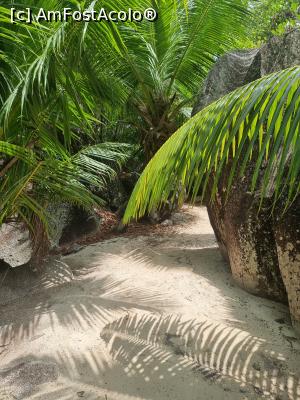 [P29] Anse Source d'Argent Beach » foto by robert
 - 
<span class="allrVoted glyphicon glyphicon-heart hidden" id="av1367533"></span>
<a class="m-l-10 hidden" id="sv1367533" onclick="voting_Foto_DelVot(,1367533,847)" role="button">șterge vot <span class="glyphicon glyphicon-remove"></span></a>
<a id="v91367533" class=" c-red"  onclick="voting_Foto_SetVot(1367533)" role="button"><span class="glyphicon glyphicon-heart-empty"></span> <b>LIKE</b> = Votează poza</a> <img class="hidden"  id="f1367533W9" src="/imagini/loader.gif" border="0" /><span class="AjErrMes hidden" id="e1367533ErM"></span>