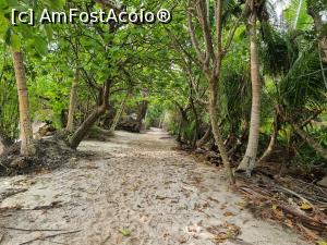 [P34] Anse Source d'Argent Beach » foto by robert
 - 
<span class="allrVoted glyphicon glyphicon-heart hidden" id="av1367538"></span>
<a class="m-l-10 hidden" id="sv1367538" onclick="voting_Foto_DelVot(,1367538,847)" role="button">șterge vot <span class="glyphicon glyphicon-remove"></span></a>
<a id="v91367538" class=" c-red"  onclick="voting_Foto_SetVot(1367538)" role="button"><span class="glyphicon glyphicon-heart-empty"></span> <b>LIKE</b> = Votează poza</a> <img class="hidden"  id="f1367538W9" src="/imagini/loader.gif" border="0" /><span class="AjErrMes hidden" id="e1367538ErM"></span>