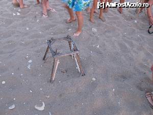 [P18] Zakynthos- Dafni Beach- cuibul de caretta din care iesise puiul » foto by luciaoradea
 - 
<span class="allrVoted glyphicon glyphicon-heart hidden" id="av684160"></span>
<a class="m-l-10 hidden" id="sv684160" onclick="voting_Foto_DelVot(,684160,872)" role="button">șterge vot <span class="glyphicon glyphicon-remove"></span></a>
<a id="v9684160" class=" c-red"  onclick="voting_Foto_SetVot(684160)" role="button"><span class="glyphicon glyphicon-heart-empty"></span> <b>LIKE</b> = Votează poza</a> <img class="hidden"  id="f684160W9" src="/imagini/loader.gif" border="0" /><span class="AjErrMes hidden" id="e684160ErM"></span>