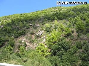 [P21] Zakynthos- verde de Zakynthos » foto by luciaoradea
 - 
<span class="allrVoted glyphicon glyphicon-heart hidden" id="av684163"></span>
<a class="m-l-10 hidden" id="sv684163" onclick="voting_Foto_DelVot(,684163,872)" role="button">șterge vot <span class="glyphicon glyphicon-remove"></span></a>
<a id="v9684163" class=" c-red"  onclick="voting_Foto_SetVot(684163)" role="button"><span class="glyphicon glyphicon-heart-empty"></span> <b>LIKE</b> = Votează poza</a> <img class="hidden"  id="f684163W9" src="/imagini/loader.gif" border="0" /><span class="AjErrMes hidden" id="e684163ErM"></span>