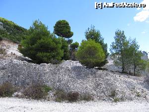 [P26] Zakynthos- » foto by luciaoradea
 - 
<span class="allrVoted glyphicon glyphicon-heart hidden" id="av684168"></span>
<a class="m-l-10 hidden" id="sv684168" onclick="voting_Foto_DelVot(,684168,872)" role="button">șterge vot <span class="glyphicon glyphicon-remove"></span></a>
<a id="v9684168" class=" c-red"  onclick="voting_Foto_SetVot(684168)" role="button"><span class="glyphicon glyphicon-heart-empty"></span> <b>LIKE</b> = Votează poza</a> <img class="hidden"  id="f684168W9" src="/imagini/loader.gif" border="0" /><span class="AjErrMes hidden" id="e684168ErM"></span>