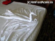 [P23] Decor... » foto by marcy74
 - 
<span class="allrVoted glyphicon glyphicon-heart hidden" id="av69664"></span>
<a class="m-l-10 hidden" id="sv69664" onclick="voting_Foto_DelVot(,69664,880)" role="button">șterge vot <span class="glyphicon glyphicon-remove"></span></a>
<a id="v969664" class=" c-red"  onclick="voting_Foto_SetVot(69664)" role="button"><span class="glyphicon glyphicon-heart-empty"></span> <b>LIKE</b> = Votează poza</a> <img class="hidden"  id="f69664W9" src="/imagini/loader.gif" border="0" /><span class="AjErrMes hidden" id="e69664ErM"></span>