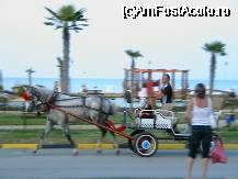 [P10] TAXIURI IN OBZOR » foto by CRY
 - 
<span class="allrVoted glyphicon glyphicon-heart hidden" id="av43552"></span>
<a class="m-l-10 hidden" id="sv43552" onclick="voting_Foto_DelVot(,43552,935)" role="button">șterge vot <span class="glyphicon glyphicon-remove"></span></a>
<a id="v943552" class=" c-red"  onclick="voting_Foto_SetVot(43552)" role="button"><span class="glyphicon glyphicon-heart-empty"></span> <b>LIKE</b> = Votează poza</a> <img class="hidden"  id="f43552W9" src="/imagini/loader.gif" border="0" /><span class="AjErrMes hidden" id="e43552ErM"></span>