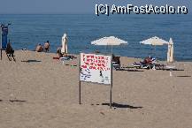 [P11] Plaja din fata hotelului. » foto by Victoras
 - 
<span class="allrVoted glyphicon glyphicon-heart hidden" id="av83870"></span>
<a class="m-l-10 hidden" id="sv83870" onclick="voting_Foto_DelVot(,83870,949)" role="button">șterge vot <span class="glyphicon glyphicon-remove"></span></a>
<a id="v983870" class=" c-red"  onclick="voting_Foto_SetVot(83870)" role="button"><span class="glyphicon glyphicon-heart-empty"></span> <b>LIKE</b> = Votează poza</a> <img class="hidden"  id="f83870W9" src="/imagini/loader.gif" border="0" /><span class="AjErrMes hidden" id="e83870ErM"></span>