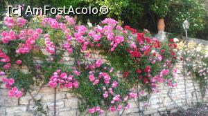 [P06] gradina de trandafiri » foto by dobrin
 - 
<span class="allrVoted glyphicon glyphicon-heart hidden" id="av869044"></span>
<a class="m-l-10 hidden" id="sv869044" onclick="voting_Foto_DelVot(,869044,950)" role="button">șterge vot <span class="glyphicon glyphicon-remove"></span></a>
<a id="v9869044" class=" c-red"  onclick="voting_Foto_SetVot(869044)" role="button"><span class="glyphicon glyphicon-heart-empty"></span> <b>LIKE</b> = Votează poza</a> <img class="hidden"  id="f869044W9" src="/imagini/loader.gif" border="0" /><span class="AjErrMes hidden" id="e869044ErM"></span>