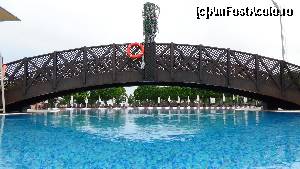 [P36] pe sub unul din podurie de la piscina » foto by elenaadina
 - 
<span class="allrVoted glyphicon glyphicon-heart hidden" id="av599868"></span>
<a class="m-l-10 hidden" id="sv599868" onclick="voting_Foto_DelVot(,599868,96)" role="button">șterge vot <span class="glyphicon glyphicon-remove"></span></a>
<a id="v9599868" class=" c-red"  onclick="voting_Foto_SetVot(599868)" role="button"><span class="glyphicon glyphicon-heart-empty"></span> <b>LIKE</b> = Votează poza</a> <img class="hidden"  id="f599868W9" src="/imagini/loader.gif" border="0" /><span class="AjErrMes hidden" id="e599868ErM"></span>