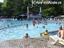 [P07] Ralitsa -piscina pentru copii » foto by criso
 - 
<span class="allrVoted glyphicon glyphicon-heart hidden" id="av75943"></span>
<a class="m-l-10 hidden" id="sv75943" onclick="voting_Foto_DelVot(,75943,976)" role="button">șterge vot <span class="glyphicon glyphicon-remove"></span></a>
<a id="v975943" class=" c-red"  onclick="voting_Foto_SetVot(75943)" role="button"><span class="glyphicon glyphicon-heart-empty"></span> <b>LIKE</b> = Votează poza</a> <img class="hidden"  id="f75943W9" src="/imagini/loader.gif" border="0" /><span class="AjErrMes hidden" id="e75943ErM"></span>