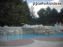 [P33] la piscina cu cascada, linistita si curata...  » foto by kukla
 - 
<span class="allrVoted glyphicon glyphicon-heart hidden" id="av463173"></span>
<a class="m-l-10 hidden" id="sv463173" onclick="voting_Foto_DelVot(,463173,976)" role="button">șterge vot <span class="glyphicon glyphicon-remove"></span></a>
<a id="v9463173" class=" c-red"  onclick="voting_Foto_SetVot(463173)" role="button"><span class="glyphicon glyphicon-heart-empty"></span> <b>LIKE</b> = Votează poza</a> <img class="hidden"  id="f463173W9" src="/imagini/loader.gif" border="0" /><span class="AjErrMes hidden" id="e463173ErM"></span>