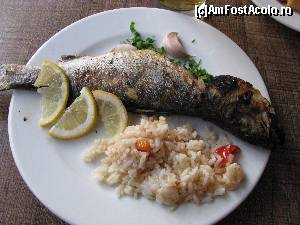 [P07] Primasol Ralitsa Superior Aqua Club Hotel (ex Ralitsa) 
UN DELICIOS PĂSTRĂV LA GRĂTAR » foto by odo puiu
 - 
<span class="allrVoted glyphicon glyphicon-heart hidden" id="av659160"></span>
<a class="m-l-10 hidden" id="sv659160" onclick="voting_Foto_DelVot(,659160,976)" role="button">șterge vot <span class="glyphicon glyphicon-remove"></span></a>
<a id="v9659160" class=" c-red"  onclick="voting_Foto_SetVot(659160)" role="button"><span class="glyphicon glyphicon-heart-empty"></span> <b>LIKE</b> = Votează poza</a> <img class="hidden"  id="f659160W9" src="/imagini/loader.gif" border="0" /><span class="AjErrMes hidden" id="e659160ErM"></span>