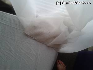 [P02] Perdea mucegaita » foto by popellena
 - 
<span class="allrVoted glyphicon glyphicon-heart hidden" id="av654029"></span>
<a class="m-l-10 hidden" id="sv654029" onclick="voting_Foto_DelVot(,654029,976)" role="button">șterge vot <span class="glyphicon glyphicon-remove"></span></a>
<a id="v9654029" class=" c-red"  onclick="voting_Foto_SetVot(654029)" role="button"><span class="glyphicon glyphicon-heart-empty"></span> <b>LIKE</b> = Votează poza</a> <img class="hidden"  id="f654029W9" src="/imagini/loader.gif" border="0" /><span class="AjErrMes hidden" id="e654029ErM"></span>