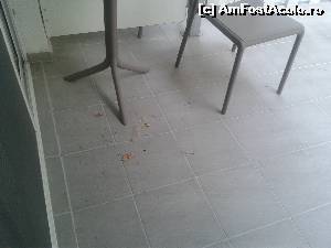 [P03] Balcon nematurat de la inceputul sezonului » foto by popellena
 - 
<span class="allrVoted glyphicon glyphicon-heart hidden" id="av654030"></span>
<a class="m-l-10 hidden" id="sv654030" onclick="voting_Foto_DelVot(,654030,976)" role="button">șterge vot <span class="glyphicon glyphicon-remove"></span></a>
<a id="v9654030" class=" c-red"  onclick="voting_Foto_SetVot(654030)" role="button"><span class="glyphicon glyphicon-heart-empty"></span> <b>LIKE</b> = Votează poza</a> <img class="hidden"  id="f654030W9" src="/imagini/loader.gif" border="0" /><span class="AjErrMes hidden" id="e654030ErM"></span>