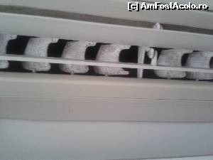 [P04] Palete aer conditionat mucegaite » foto by popellena
 - 
<span class="allrVoted glyphicon glyphicon-heart hidden" id="av654031"></span>
<a class="m-l-10 hidden" id="sv654031" onclick="voting_Foto_DelVot(,654031,976)" role="button">șterge vot <span class="glyphicon glyphicon-remove"></span></a>
<a id="v9654031" class=" c-red"  onclick="voting_Foto_SetVot(654031)" role="button"><span class="glyphicon glyphicon-heart-empty"></span> <b>LIKE</b> = Votează poza</a> <img class="hidden"  id="f654031W9" src="/imagini/loader.gif" border="0" /><span class="AjErrMes hidden" id="e654031ErM"></span>