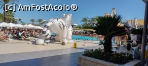 [P15] Pool party. » foto by bullet123
 - 
<span class="allrVoted glyphicon glyphicon-heart hidden" id="av1326780"></span>
<a class="m-l-10 hidden" id="sv1326780" onclick="voting_Foto_DelVot(,1326780,99)" role="button">șterge vot <span class="glyphicon glyphicon-remove"></span></a>
<a id="v91326780" class=" c-red"  onclick="voting_Foto_SetVot(1326780)" role="button"><span class="glyphicon glyphicon-heart-empty"></span> <b>LIKE</b> = Votează poza</a> <img class="hidden"  id="f1326780W9" src="/imagini/loader.gif" border="0" /><span class="AjErrMes hidden" id="e1326780ErM"></span>