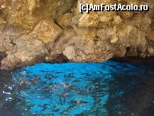 [P18] Ochiul lui Zeus si hranirea pestilor » foto by ionescunic
 - 
<span class="allrVoted glyphicon glyphicon-heart hidden" id="av146036"></span>
<a class="m-l-10 hidden" id="sv146036" onclick="voting_Foto_DelVot(,146036,993)" role="button">șterge vot <span class="glyphicon glyphicon-remove"></span></a>
<a id="v9146036" class=" c-red"  onclick="voting_Foto_SetVot(146036)" role="button"><span class="glyphicon glyphicon-heart-empty"></span> <b>LIKE</b> = Votează poza</a> <img class="hidden"  id="f146036W9" src="/imagini/loader.gif" border="0" /><span class="AjErrMes hidden" id="e146036ErM"></span>