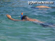 [P12] Snorkeling Paleokastritsa » foto by bobo2005
 - 
<span class="allrVoted glyphicon glyphicon-heart hidden" id="av134914"></span>
<a class="m-l-10 hidden" id="sv134914" onclick="voting_Foto_DelVot(,134914,993)" role="button">șterge vot <span class="glyphicon glyphicon-remove"></span></a>
<a id="v9134914" class=" c-red"  onclick="voting_Foto_SetVot(134914)" role="button"><span class="glyphicon glyphicon-heart-empty"></span> <b>LIKE</b> = Votează poza</a> <img class="hidden"  id="f134914W9" src="/imagini/loader.gif" border="0" /><span class="AjErrMes hidden" id="e134914ErM"></span>