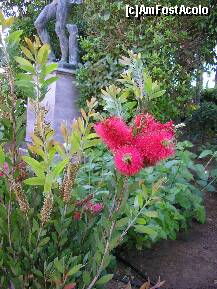 [P23] Corfu - Palatul Achilleion, in parc. » foto by iulianic
 - 
<span class="allrVoted glyphicon glyphicon-heart hidden" id="av263249"></span>
<a class="m-l-10 hidden" id="sv263249" onclick="voting_Foto_DelVot(,263249,993)" role="button">șterge vot <span class="glyphicon glyphicon-remove"></span></a>
<a id="v9263249" class=" c-red"  onclick="voting_Foto_SetVot(263249)" role="button"><span class="glyphicon glyphicon-heart-empty"></span> <b>LIKE</b> = Votează poza</a> <img class="hidden"  id="f263249W9" src="/imagini/loader.gif" border="0" /><span class="AjErrMes hidden" id="e263249ErM"></span>