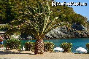 [P10] Paleokastritsa, Agios Spyridon Beach » foto by noi doi
 - 
<span class="allrVoted glyphicon glyphicon-heart hidden" id="av365112"></span>
<a class="m-l-10 hidden" id="sv365112" onclick="voting_Foto_DelVot(,365112,993)" role="button">șterge vot <span class="glyphicon glyphicon-remove"></span></a>
<a id="v9365112" class=" c-red"  onclick="voting_Foto_SetVot(365112)" role="button"><span class="glyphicon glyphicon-heart-empty"></span> <b>LIKE</b> = Votează poza</a> <img class="hidden"  id="f365112W9" src="/imagini/loader.gif" border="0" /><span class="AjErrMes hidden" id="e365112ErM"></span>