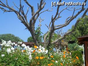 [P20] La terasa de deasupra Logas Beach-ului!  » foto by noi doi
 - 
<span class="allrVoted glyphicon glyphicon-heart hidden" id="av365122"></span>
<a class="m-l-10 hidden" id="sv365122" onclick="voting_Foto_DelVot(,365122,993)" role="button">șterge vot <span class="glyphicon glyphicon-remove"></span></a>
<a id="v9365122" class=" c-red"  onclick="voting_Foto_SetVot(365122)" role="button"><span class="glyphicon glyphicon-heart-empty"></span> <b>LIKE</b> = Votează poza</a> <img class="hidden"  id="f365122W9" src="/imagini/loader.gif" border="0" /><span class="AjErrMes hidden" id="e365122ErM"></span>